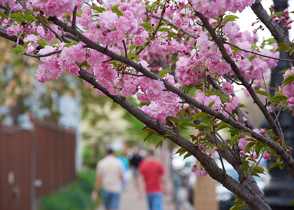 20150411CWE019