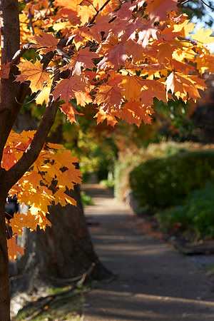 20191101CWE018