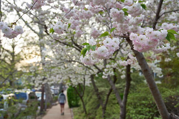 20150411CWE046
