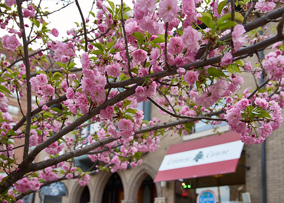 20150411CWE028