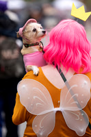 Halloween Pet Parade 10/25/2025