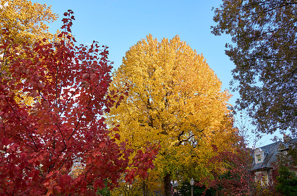 20211111CWE049