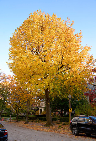 20211111CWE050