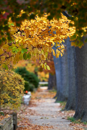 20211111CWE035