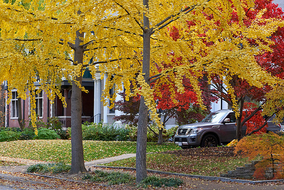 20211111CWE038
