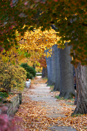 20211111CWE034
