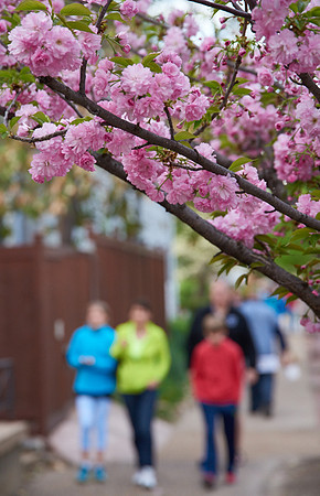 20150411CWE023