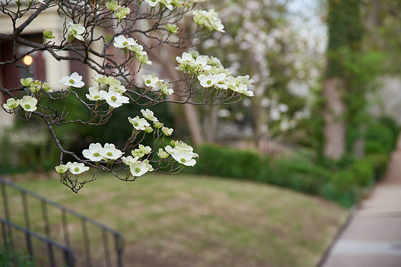 20150411CWE037