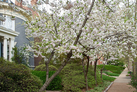 20150411CWE042