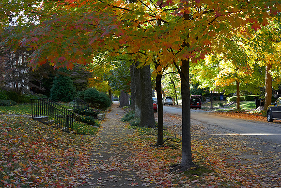 20191101CWE011