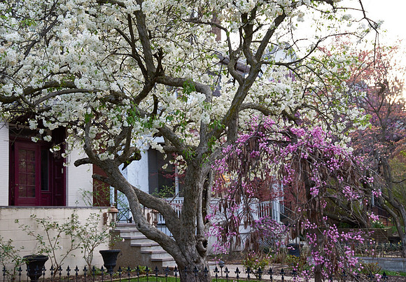 20150411CWE029