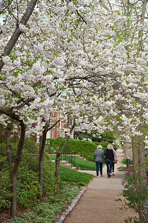 20150411CWE043