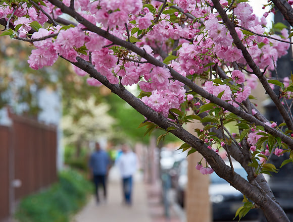 20150411CWE018
