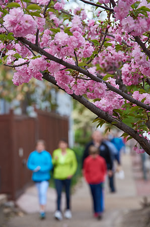 20150411CWE022