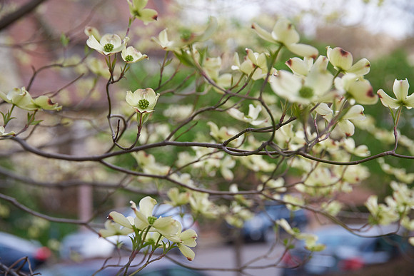 20150411CWE032