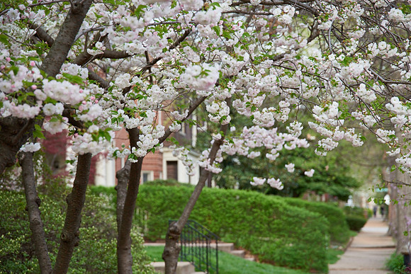 20150411CWE047