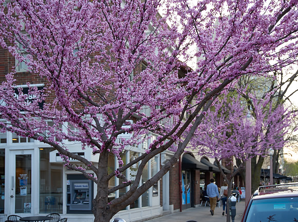 20150411CWE006