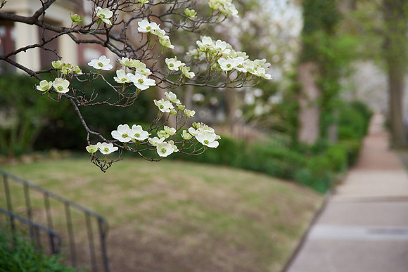 20150411CWE038