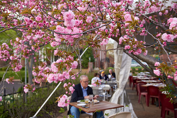 20150411CWE009