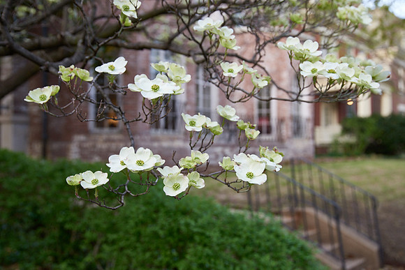 20150411CWE036