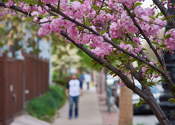 20150411CWE017