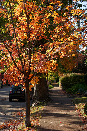 20191101CWE016