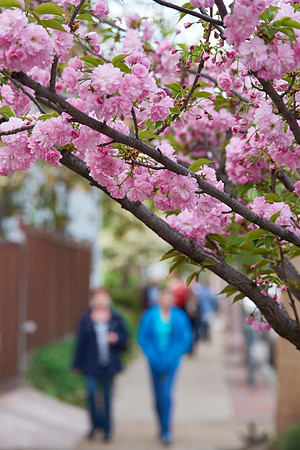 20150411CWE025