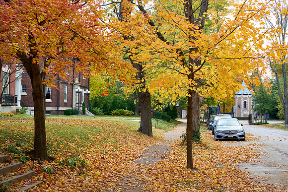 20211111CWE043