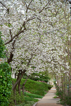 20150411CWE041