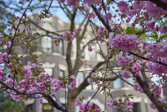 20150411CWE026
