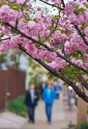 20150411CWE024