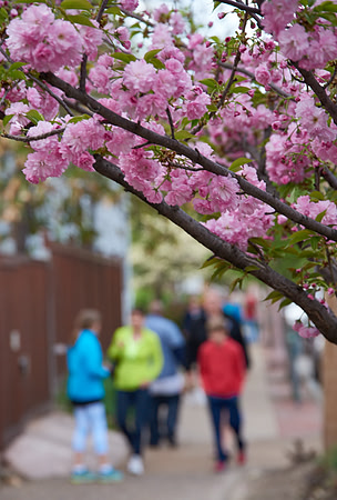 20150411CWE021
