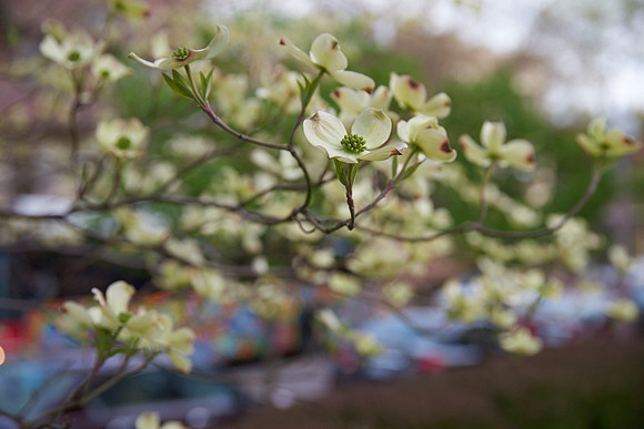 20150411CWE031