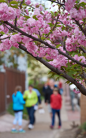 20150411CWE020