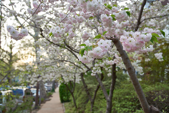 20150411CWE045