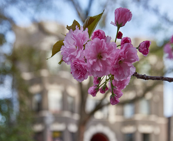 20150411CWE027