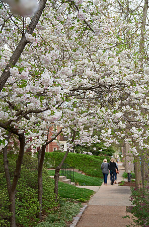 20150411CWE044