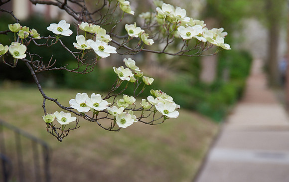 20150411CWE039