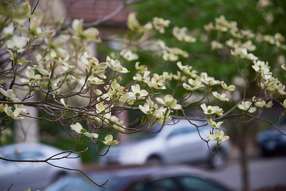 20150411CWE030