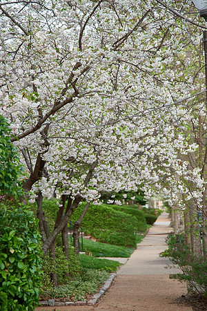 20150411CWE040