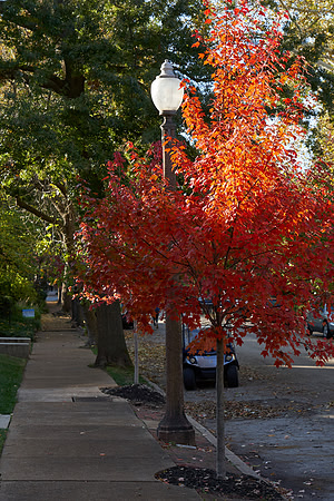 20191101CWE015